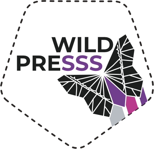 Подарочная полиграфия в Москве | Печать упаковки и открыток