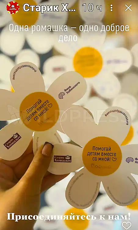 Как мы вырубили ромашки для ресторана